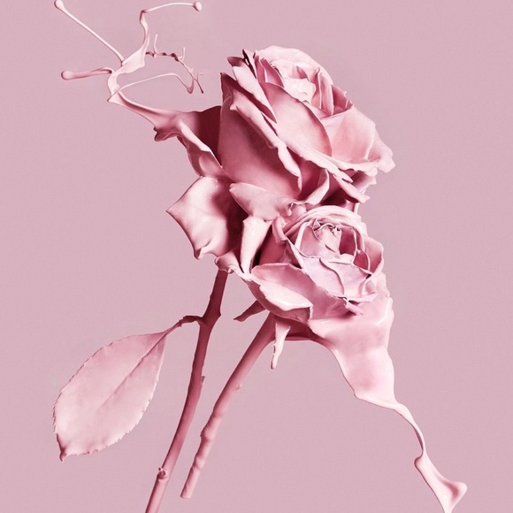 Meet your Posher, Melanie💄 - Picture 1 of 1